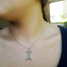 Load image into Gallery viewer, Balance on 18 inch sterling ball chain